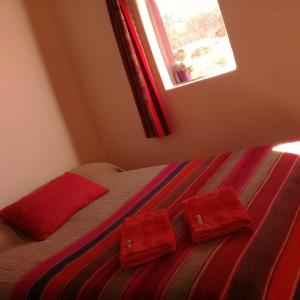 Cabaña El Cardón,casita en el campo quebradeño