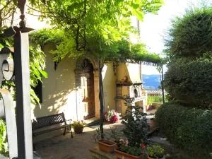 La Cinci Allegra - Giomici