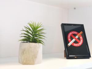 Black & White Studio