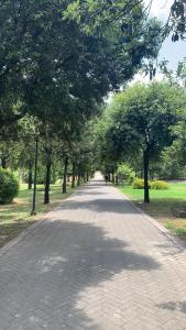 La Casa di Adele Cagliari B&B img52