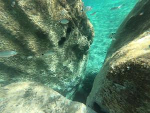 La Casa di Adele Cagliari B&B img57