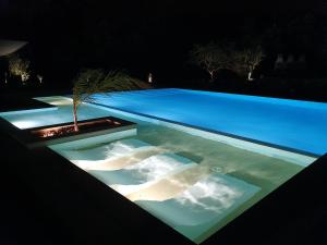 PÉROLA DÓBIDOS t2