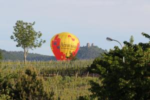 Maisons d'hotes La belle alsacienne - Route des vins d'Alsace : photos des chambres