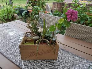 die perfekte Auszeit