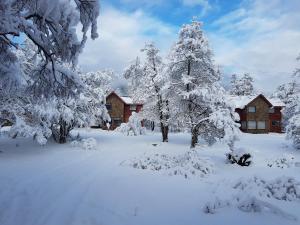 CABAÑAS BOSQUE NEVADO