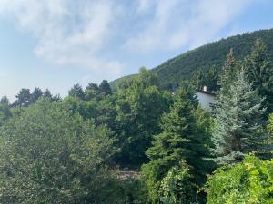 Maharaja Mountain Palace with Free Privat Parking and Garden