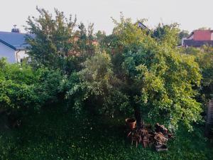 Room in a Scandinavian Style House