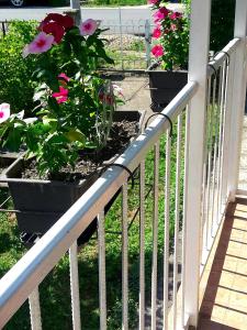 Apartmani Centar Banja Vrujci