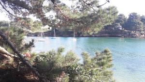 Maisons de vacances Serenite a la mer : photos des chambres