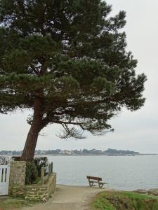 Maisons de vacances Serenite a la mer : photos des chambres
