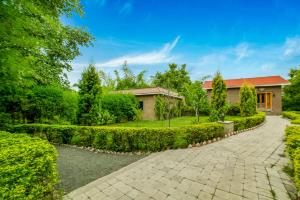 Lemon Tree Wildlife Resort, Bandhavgarh