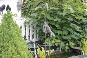 Ferienwohnungen Kießler