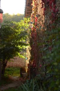 Torre Tanquián Eco Finca - Ribeira Sacra