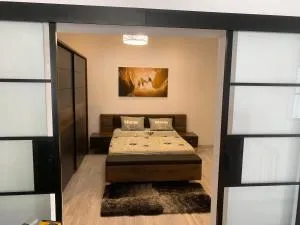 Manifique Maison T2 50m2 Atypique wifi & parking privée - 圣热尼拉瓦勒