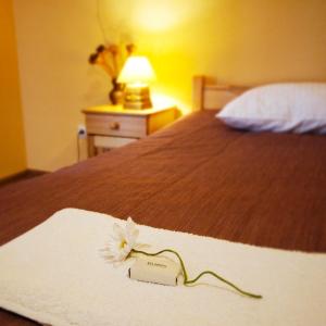 Quadruple Room room in Szeptucha