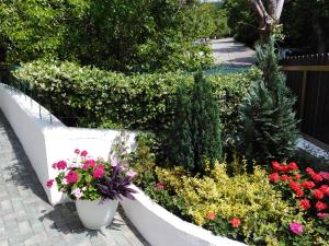 Double or Twin Room room in Korsar Hotel