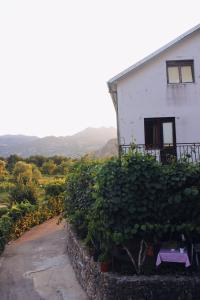 Studio and winery Kalimut