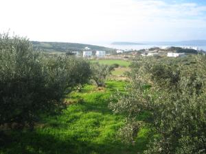 The house of the sun Paros Greece