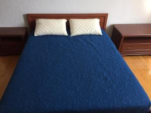 Comfortable apartment on the Obolon