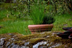 Atpūtas vieta Brāļtīrumi