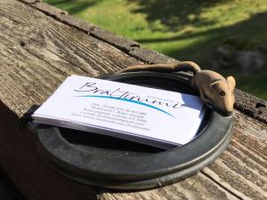 Atpūtas vieta Brāļtīrumi