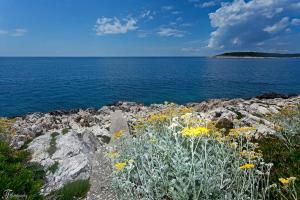 Apartments Cvjetan