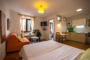 Studio apartment Lux - 3hvězdičkové hotely ve městě Rovinj