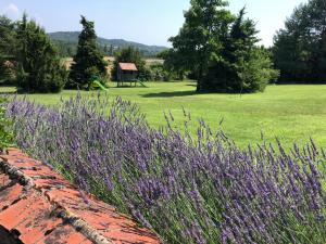 Maisons de vacances Mas des Poutres - Gite Rose : photos des chambres