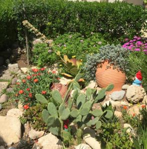 Aegina town, summer house with beautiful garden Aegina Greece