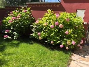 Schoenbrunn Gardens Deluxe Apartment