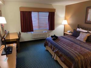 King Room - Non-Smoking room in AmericInn by Wyndham Cody