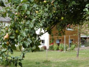 Maisons de vacances Ancienne Fermette le Charlemont Givet Foisches : photos des chambres