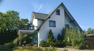 Nostalgia - Dovholuka