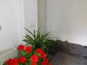 city-ferienwohnung-bautzen - Будишин