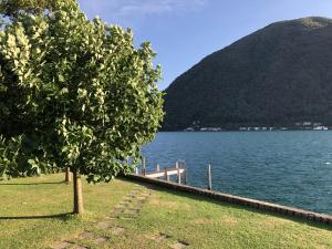 Appartamento Ticino