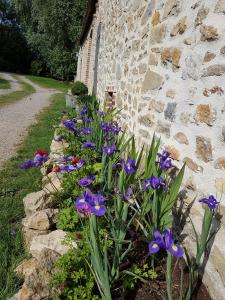 B&B / Chambres d'hotes La Roulotte du Haut Pinleu : photos des chambres