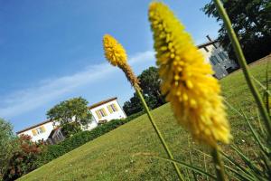 Maisons de vacances Hameau Montplaisir : photos des chambres