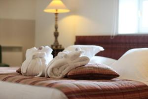 Hotels Le Pavillon du Chateau, Hotel & SPA : photos des chambres