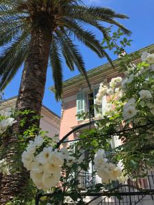 Hotels Hotel Villa Rose : photos des chambres