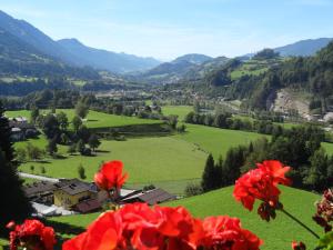 Pension Appartements Reithof