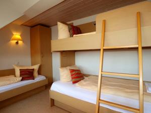 Hotel - Restaurant Hirschen - Werneths Landgasthof beim Europa- Park Rust