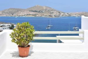 Hara Studios and Apartments Paros Greece