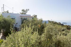 Ferma Hill Apartments