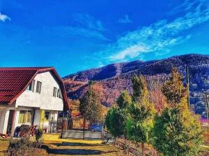 Panaite’s Home - 内霍瓦