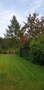 Zielona Mila Dom Wakacyjny