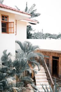 The Paradise In Kilimanjaro