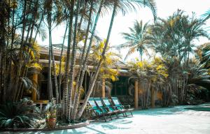 The Paradise In Kilimanjaro