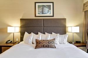 Canalta Hotel Esterhazy