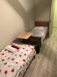 Home of Bella & Tamo