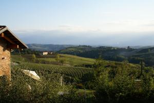 Bricco Torricella